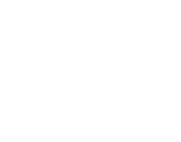 FinePrint owl logo
